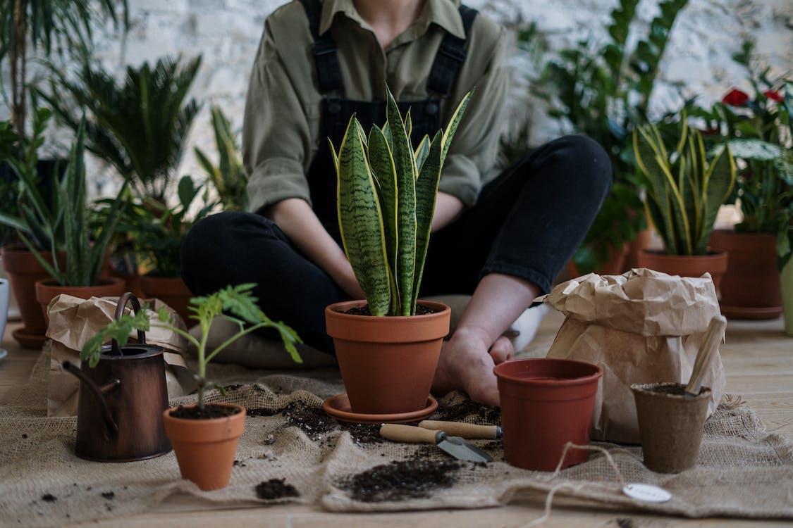 Jardinería urbana: crea oasis verdes en espacios reducidos 10 Jardinería urbana