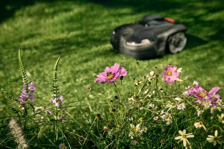 Husqvarna presenta Rewilding Mode, una funcionalidad pionera para potenciar la biodiversidad en nuestros jardines