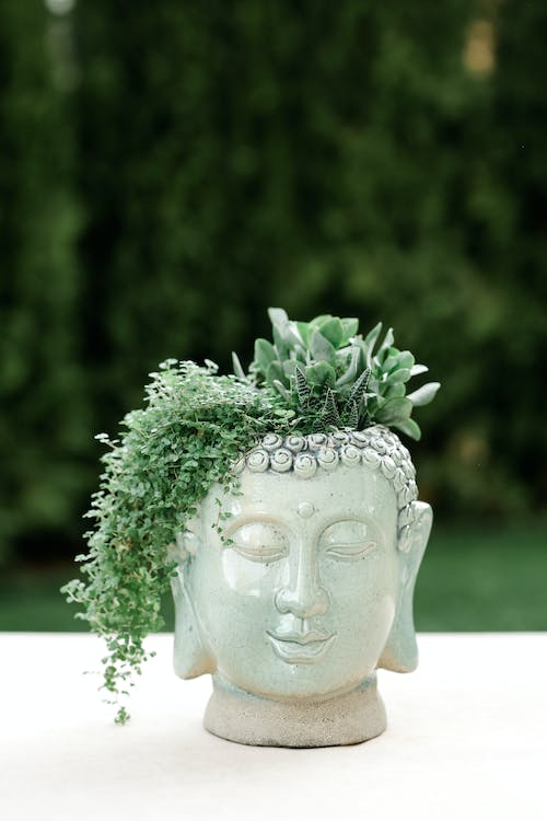 Consejos prácticos para la decoración de interiores y exteriores con plantas 4 decoración de interiores