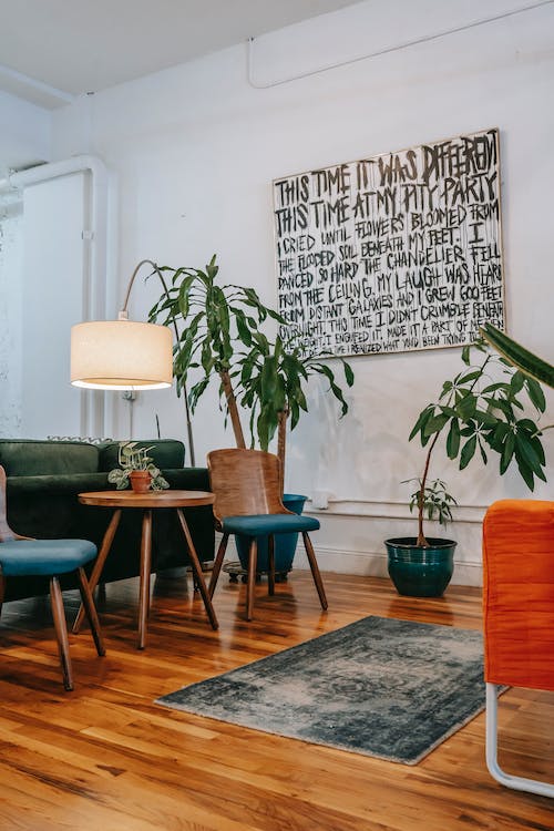 Consejos prácticos para la decoración de interiores y exteriores con plantas 5 decoración de interiores