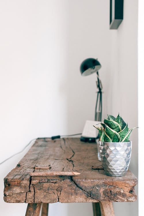 Consejos prácticos para la decoración de interiores y exteriores con plantas 6 decoración de interiores