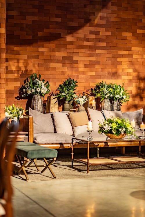 Consejos prácticos para la decoración de interiores y exteriores con plantas 3 decoración de interiores