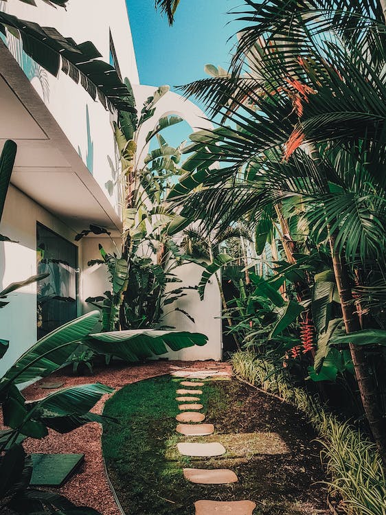 Ideas inspiradoras para crear espacios verdes y acogedores en tu jardín 5 espacios verdes