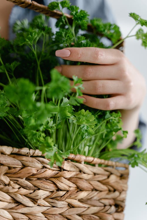 Ideas inspiradoras para crear espacios verdes y acogedores en tu jardín 4 espacios verdes