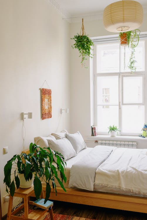 Diseño de interiores inspirado en la naturaleza: Crea espacios serenos y llenos de vida 4 Diseño de interiores
