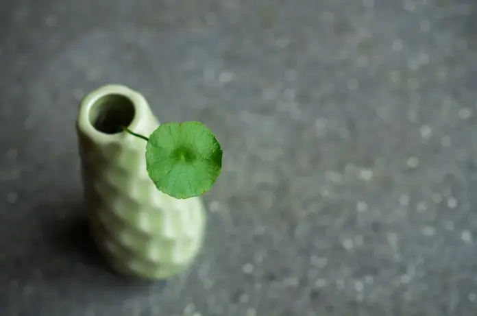 Decoración sostenible