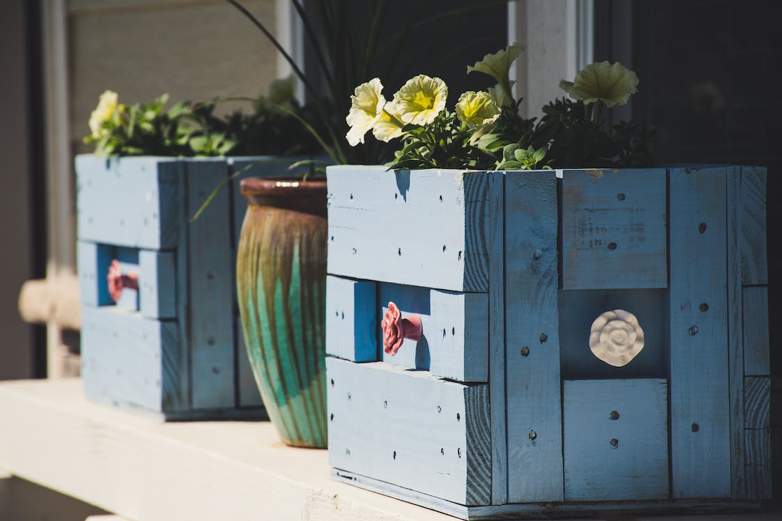 Decoración sostenible: Consejos eco-friendly para un hogar y jardín verde 5 Decoración sostenible
