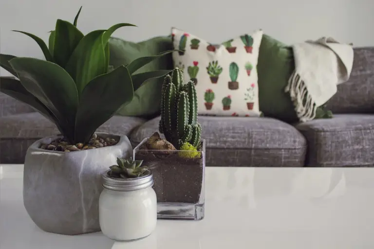 Embellece tu Espacio: Ideas de Decoración y Jardinería Embellece tu Espacio: Ideas de Decoración y Jardinería