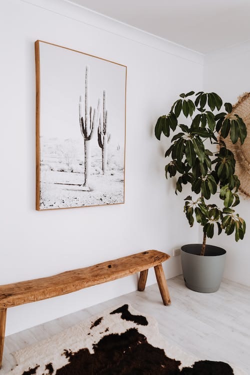 Sostenibilidad y belleza: Armoniza tu espacio con decoración natural 3 decoración natural