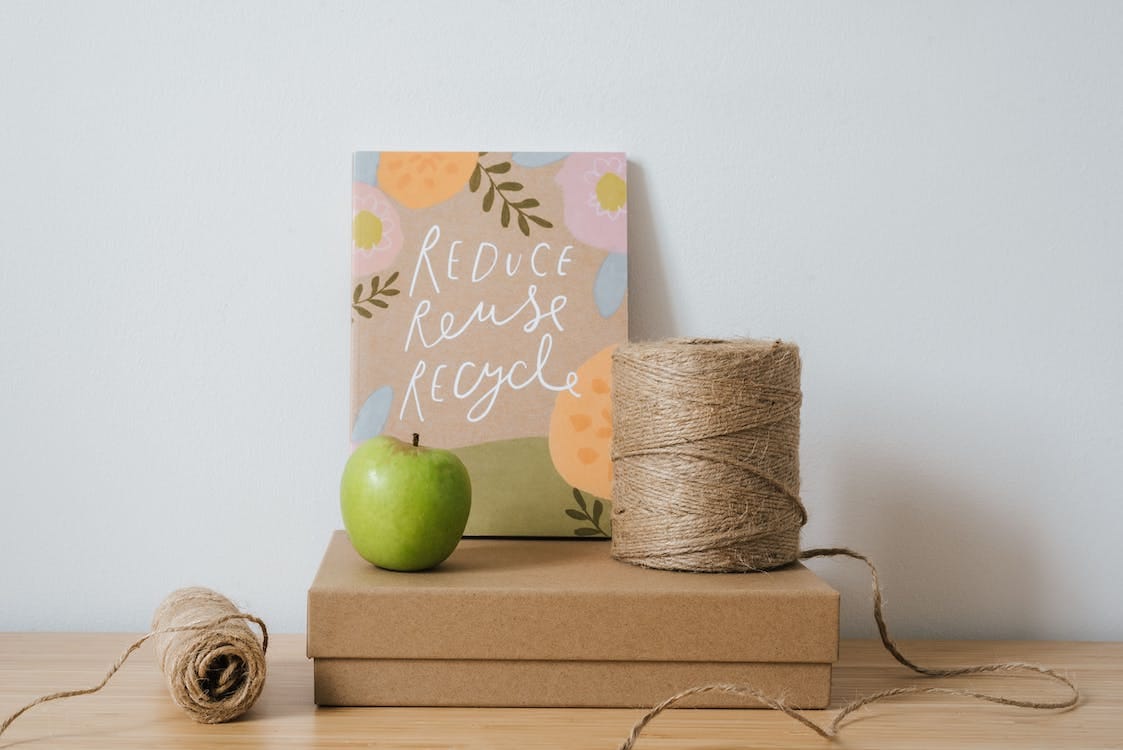Sostenibilidad y belleza: Armoniza tu espacio con decoración natural 4 decoración natural