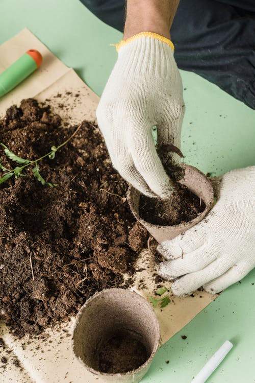 Preparar el jardín
