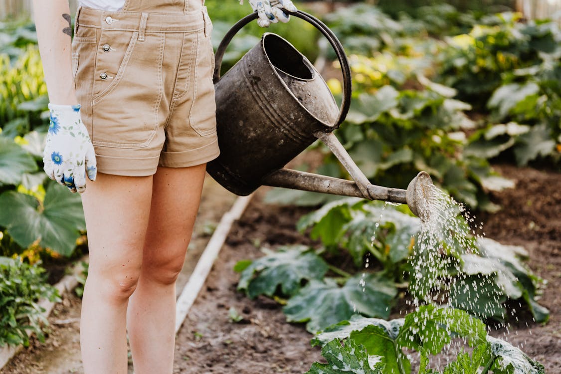 Preparar el jardín