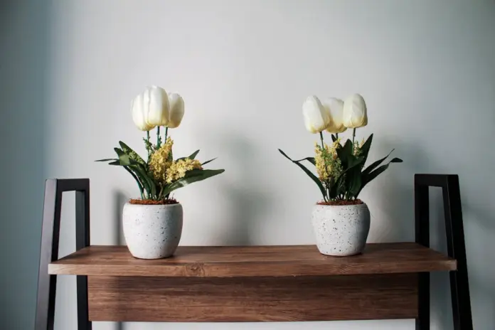 flores de primavera