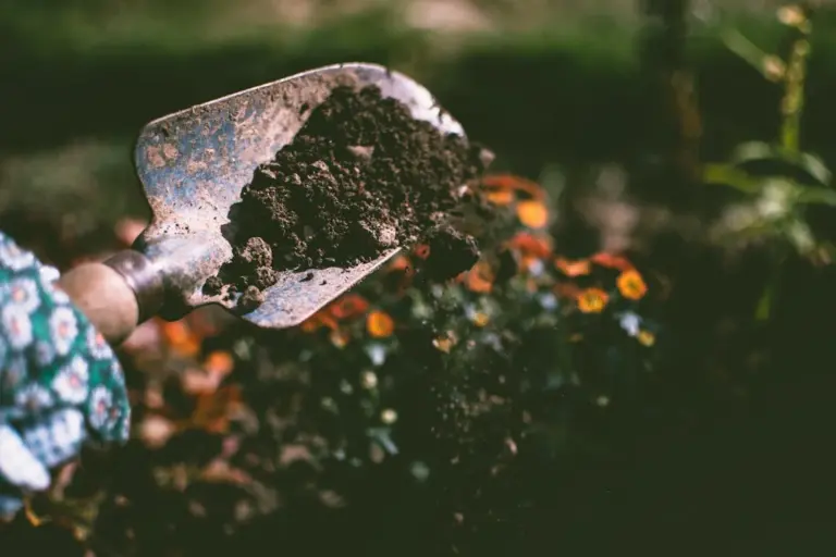 Jardinería para todos: Consejos y trucos para principiantes y expertos Jardinería para todos: Consejos y trucos para principiantes y expertos