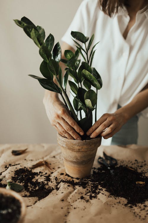 Jardinería para todos