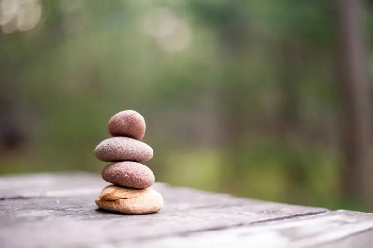 Crea un ambiente zen con plantas de interior Crea un ambiente zen con plantas de interior