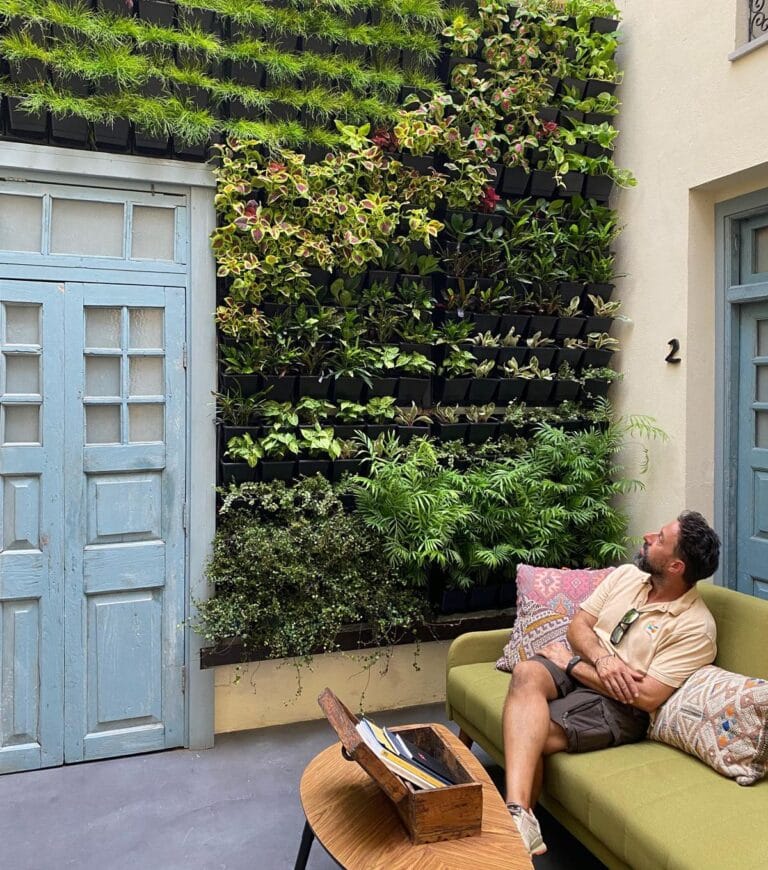 Morales Paisajismo Anuncia la Expansión de Servicios a Granada y Cádiz Morales Paisajismo Anuncia la Expansión de Servicios a Granada y Cádiz