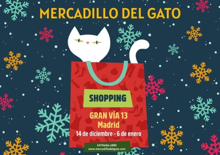Gran Vía 13: ¡Mercadillo del Gato 2024 ya está aquí! Gran Vía 13: ¡Mercadillo del Gato 2024 ya está aquí!