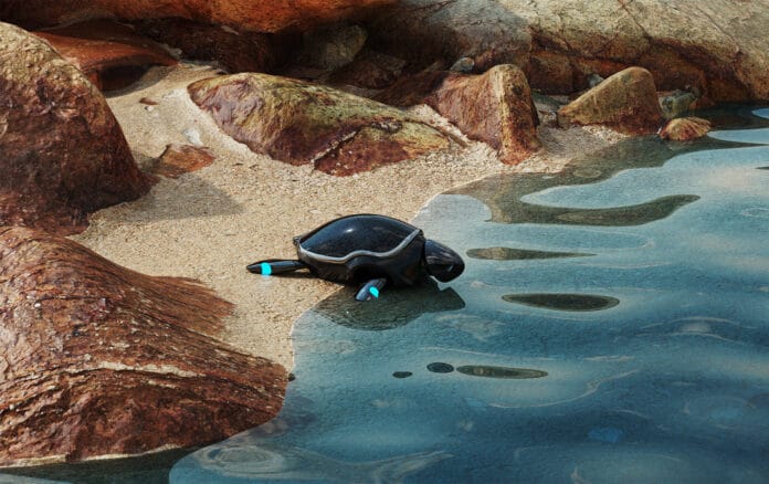 Beatbot-Amphibious-RoboTurtle