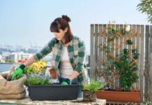 Renueva tu jardín esta primavera con las soluciones de PARKSIDE