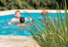 Consejos para preparar tu piscina este verano en tu jardín