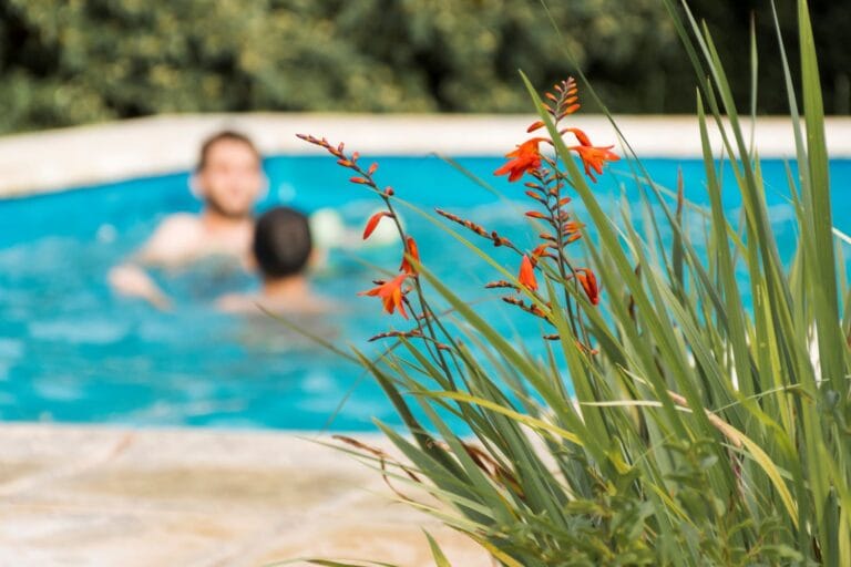 Consejos para preparar tu piscina este verano en tu jardín