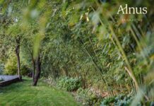 Alnus Paisajistas: Hacia la Consolidación de un Estudio Sostenible en Madrid Alnus Paisajistas consolida su trayectoria como estudio de paisajismo sostenible en Madrid