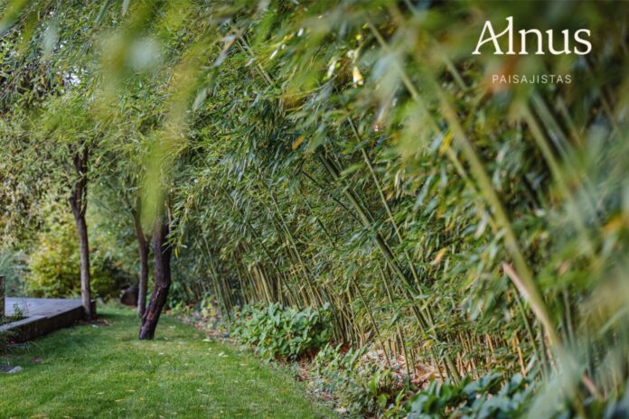 Alnus Paisajistas: Hacia la Consolidación de un Estudio Sostenible en Alnus Paisajistas consolida su trayectoria como estudio de paisajismo sostenible en Madrid